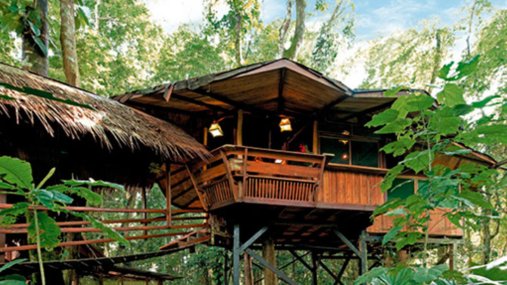 Vjs-Rosand-img-hoteles-Tree-House-Lodge-2-720x405