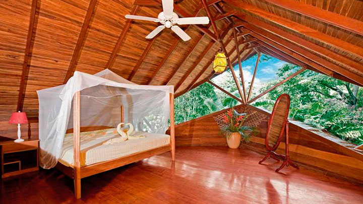 Vjs-Rosand-img-hoteles-Tree-House-Lodge-3-720x405