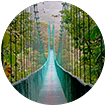 Vjs-Rosand-img-region-MonteVerde-105x105 Vjs-Rosand-img-region-MonteVerde-105x105