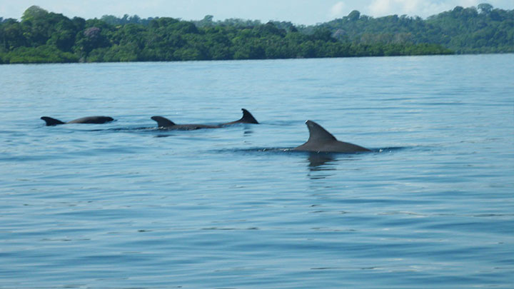 Centro-Amer-Bocas-Toro-3-720x405